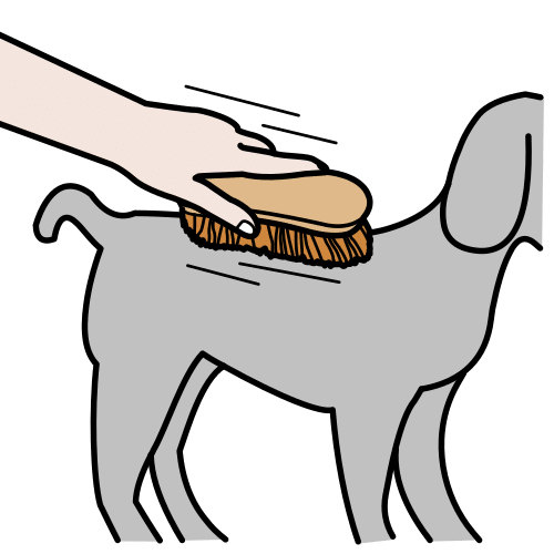 brush