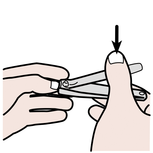 clip fingernails