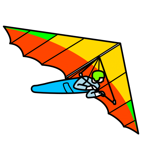 fly
