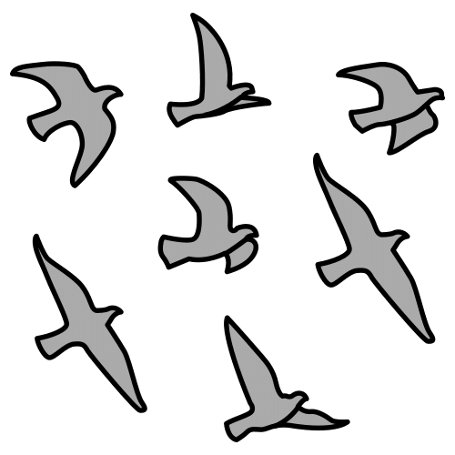 flock