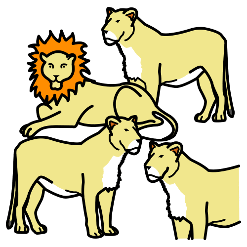 herd