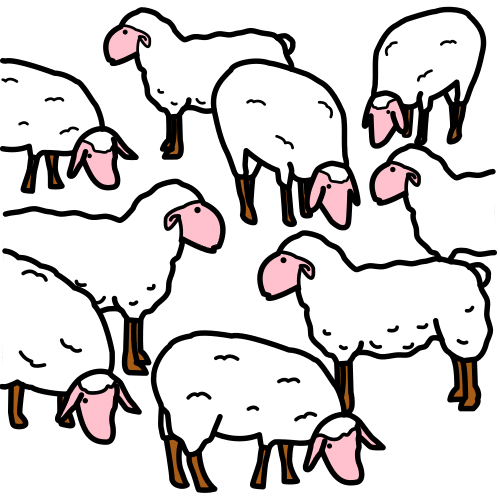 herd
