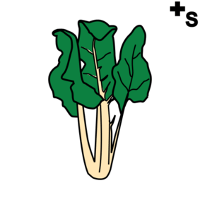 Swiss chard