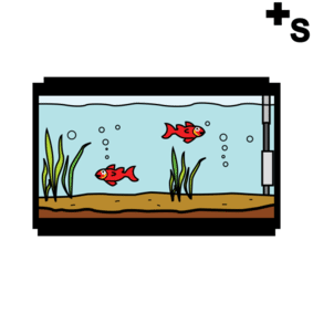 fishtank, fishbowl