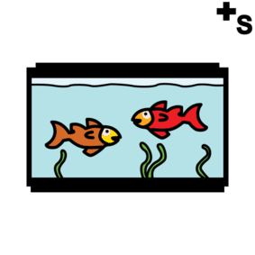 fishtank, fishbowl