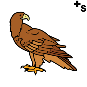 eagles