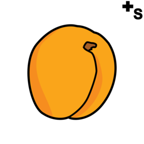 apricots