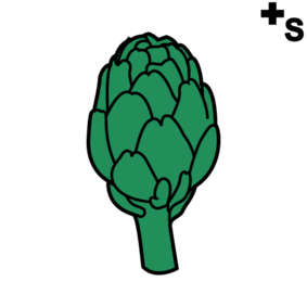 artichoke
