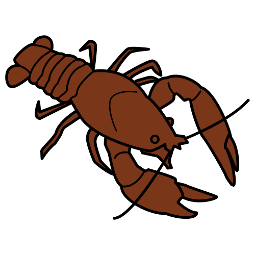 crab