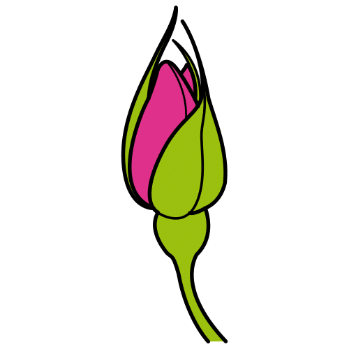 bud