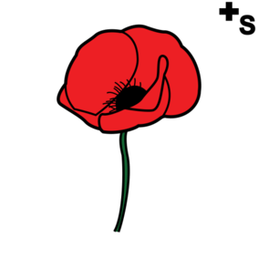red poppies, corn poppies