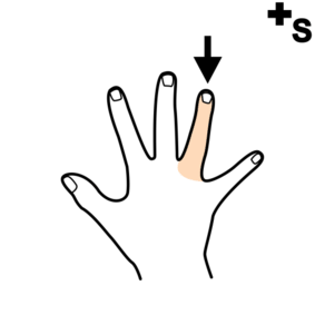 ring fingers, fingers