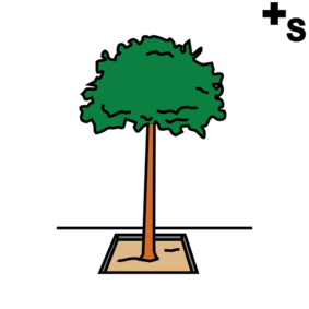 trees