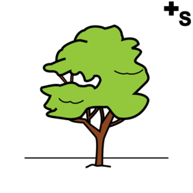 trees