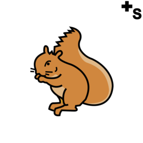 squirrels