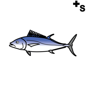 tunas