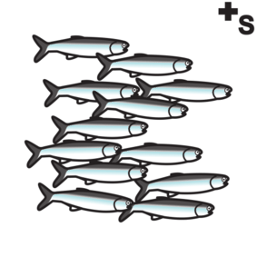 school of fish