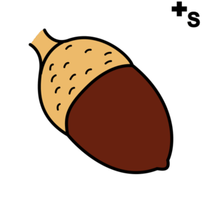 acorns