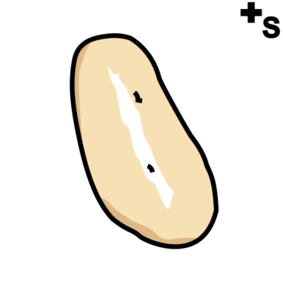 sponge cake