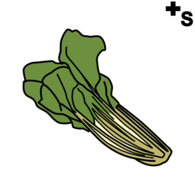 vegetable