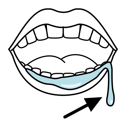 saliva