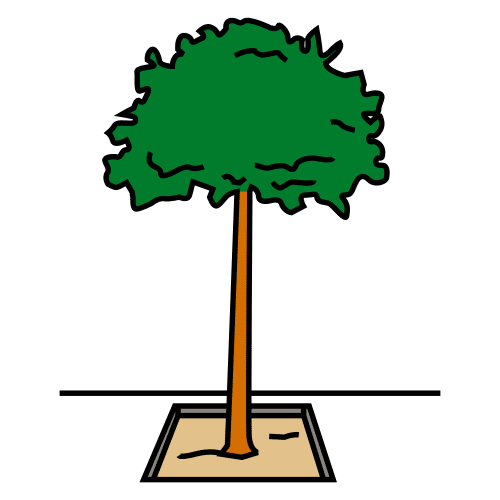 tree