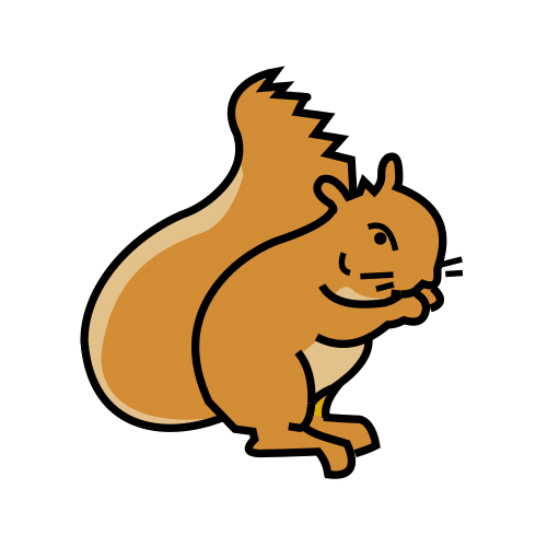 squirrel