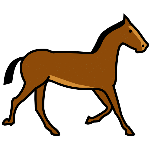 horse