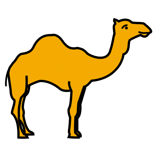 dromedary