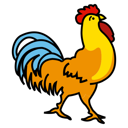 chicken