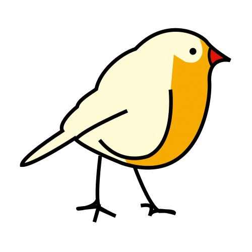 bird