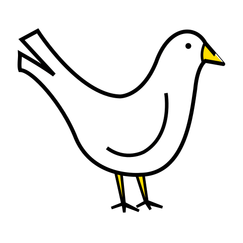 pigeon