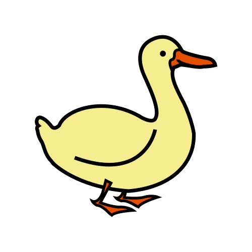 duck