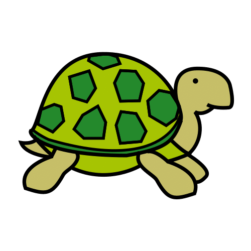tortoise