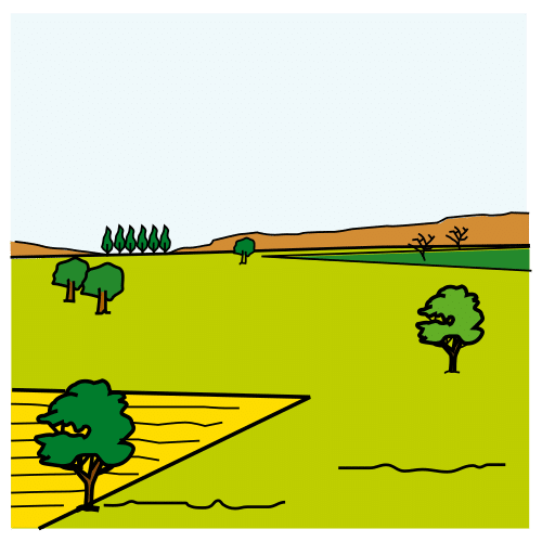 countryside