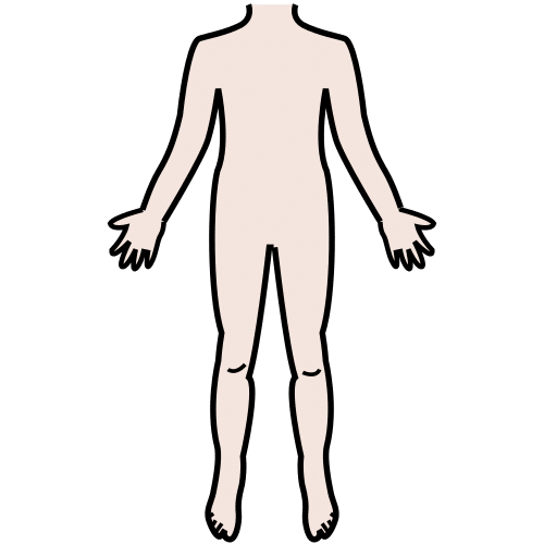 body