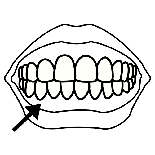 teeth