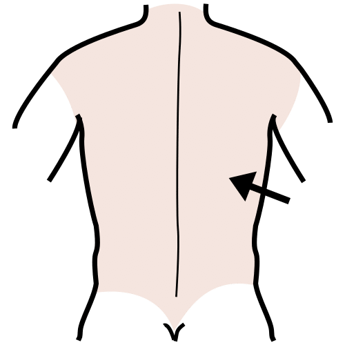 back
