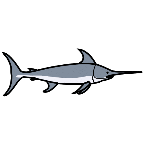 swordfish