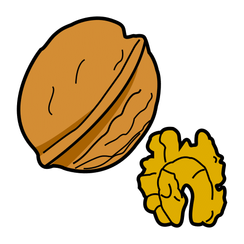 walnut