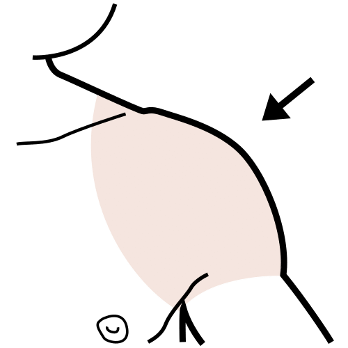 shoulder