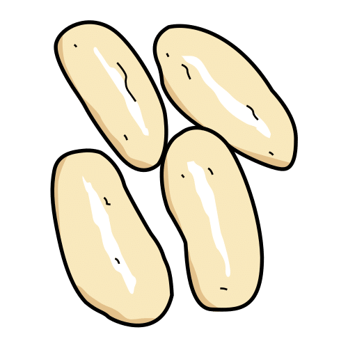 sponge cakes