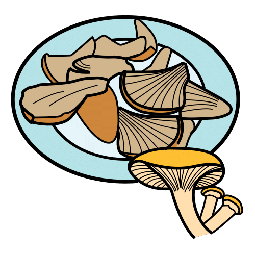 mushrooms