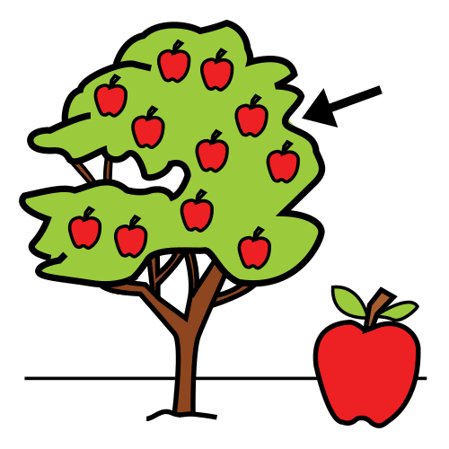 apple tree