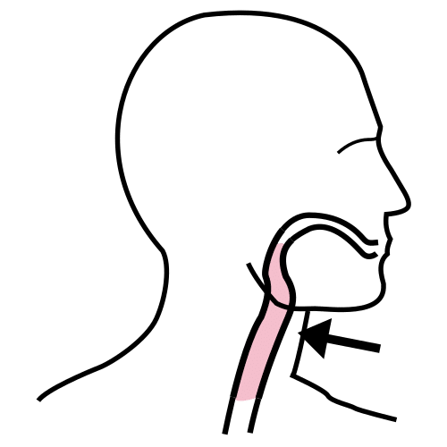 throat