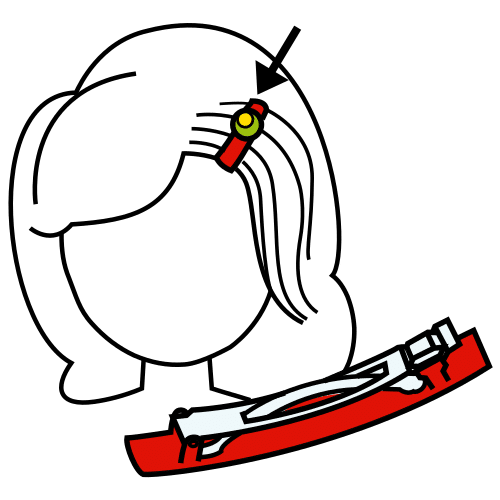 hair slide