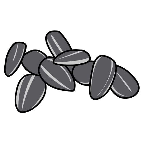 sunflower seeds