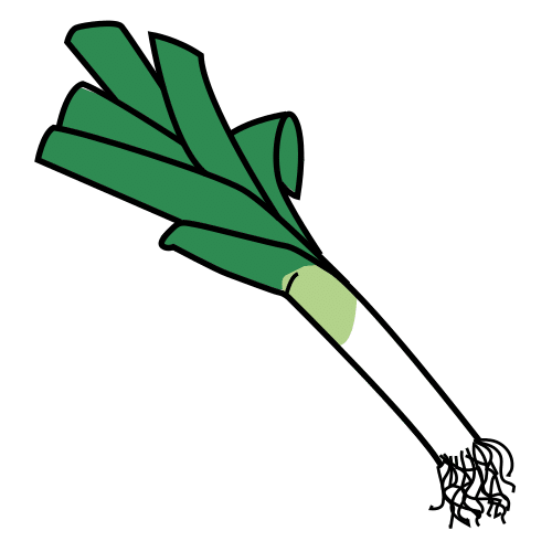 leek
