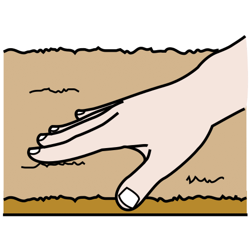 coarse