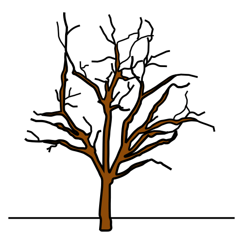 winter tree